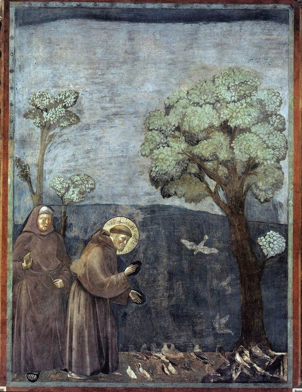 Franciscus preekt voor de vogels, Fresco Giotto
