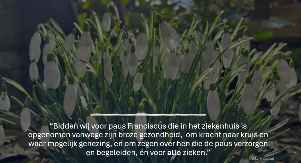 Gebed voor paus Franciscus
foto by Gemma van der Linde
