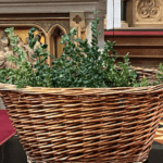 Gewijde palmtakjes RK.-Kerk te Joppe
