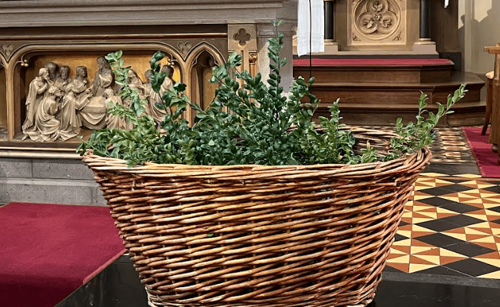 Gewijde palmtakjes RK.-Kerk te Joppe
Foto Gemma van der Linde 