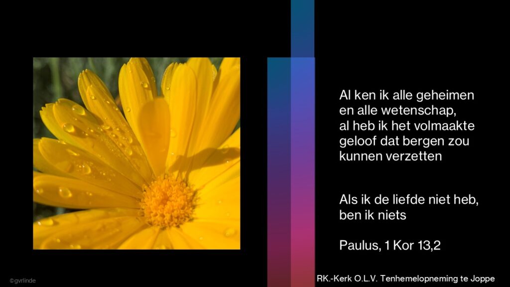 Al ken ik alle geheimen en alle wetenschap, al heb ik het volmaakte geloof dat bergen zou kunnen verzetten
Als ik de liefde niet heb, ben ik niets
Paulus, 1 Kor 13,2
Foto Goudsbloem ,Gemma van der Linde