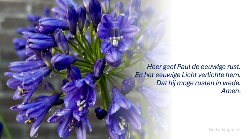 ©rkkerkjoppe.gl